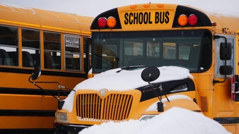 A school bus with snow on its hood next to a snow bank.