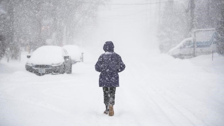 Winter weather has caused school buses to be canceled or run late