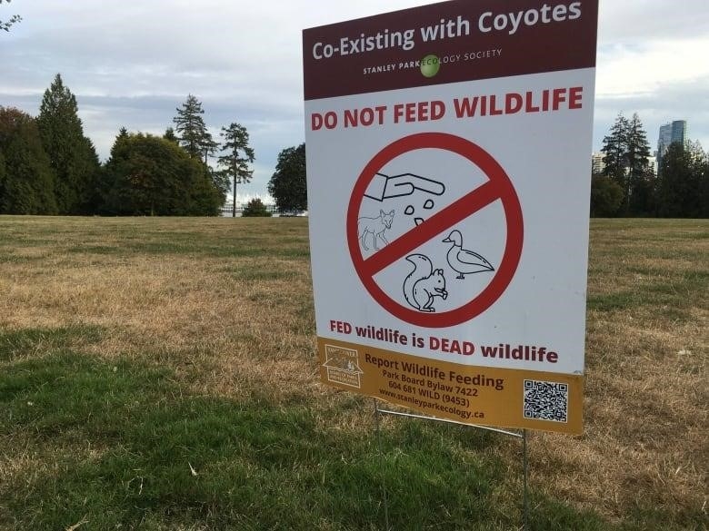 A sign reads 'Co-existing with coyotes, Stanley Park Ecology Society, Do not Feed Wildlife, Fed Wildlife is dead wildlife' followed by a hotline number. The graphic shows a large cross mark over clip art of a hand releasing food to a duck, squirrel and coyote.