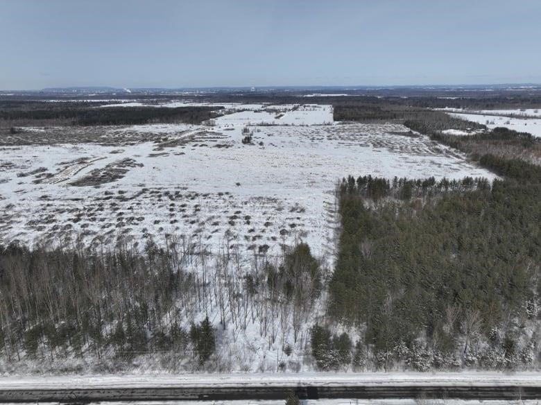 An aerial photo showing dozens of piles of trees cut north of Piperville Road in Ottawa.