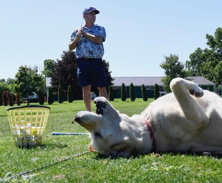 A man golfs with a dog in the foreground.