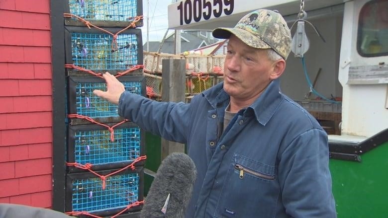 A fisherman wearing a camouflage baseball cap points to a stack of five metal lobster traps with blue mesh to his right.