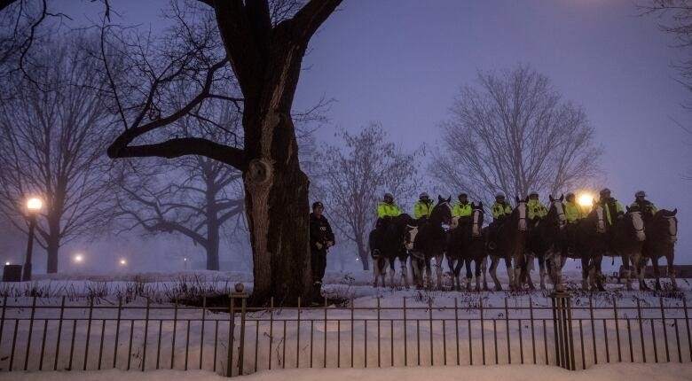 A line of police officers on horseback in a snowy city park.