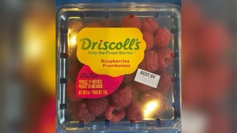 A pack of raspberries priced at $15. 