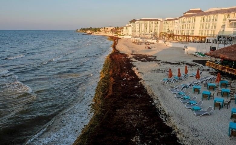 A beach with multiple deck chairs and hotels along it.