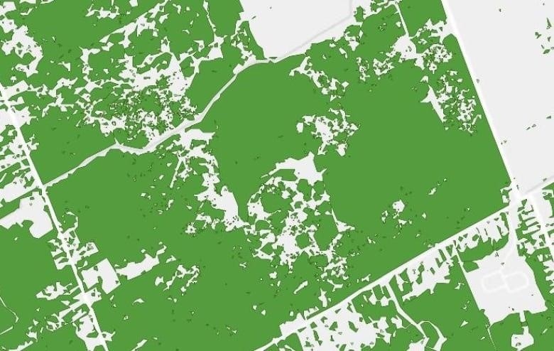 A map off a data website by the National Capital Commission that shows the property used to have extensive tree cover.