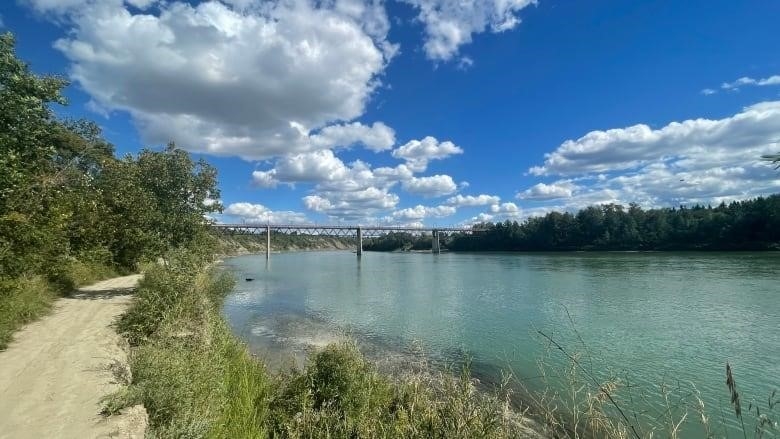 A bridge stretches across the North Saskatchewan River in the summertime. 