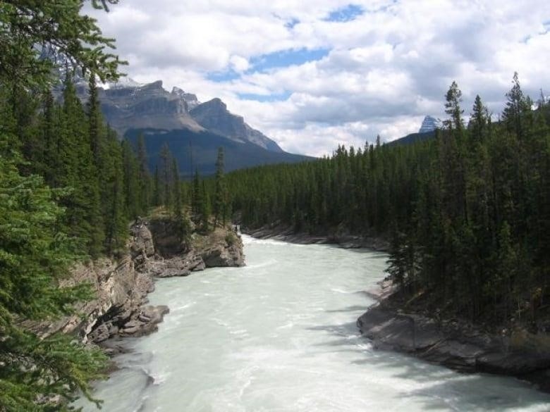 A river flows from the mountains in Alberta during the summer.