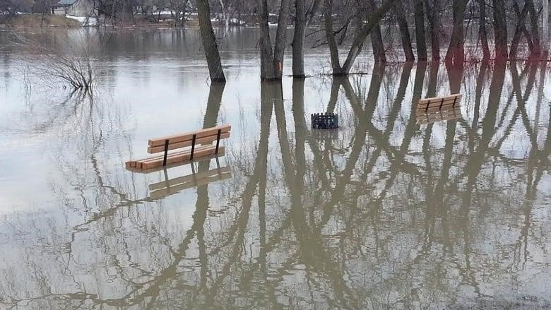 Park benches are surrounded in water from flooding. The water can also be seen well up on the trunks of trees.