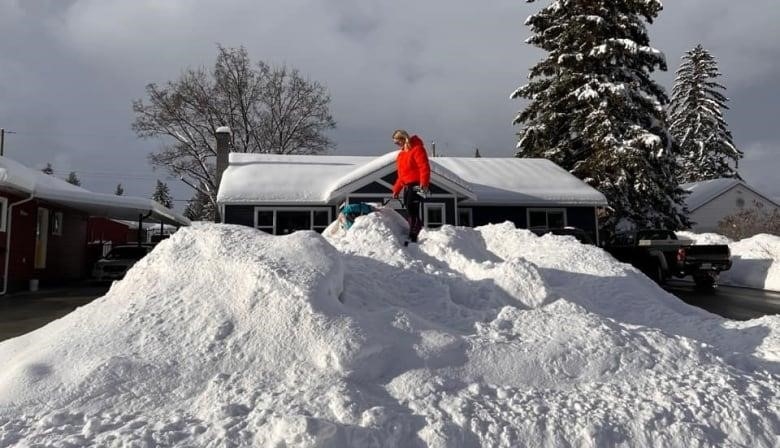 A woman and a dog stand on top of snow.