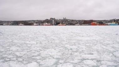 A panoramic shot of the St. John's skyline. The ocean is filled with chunks of ice.