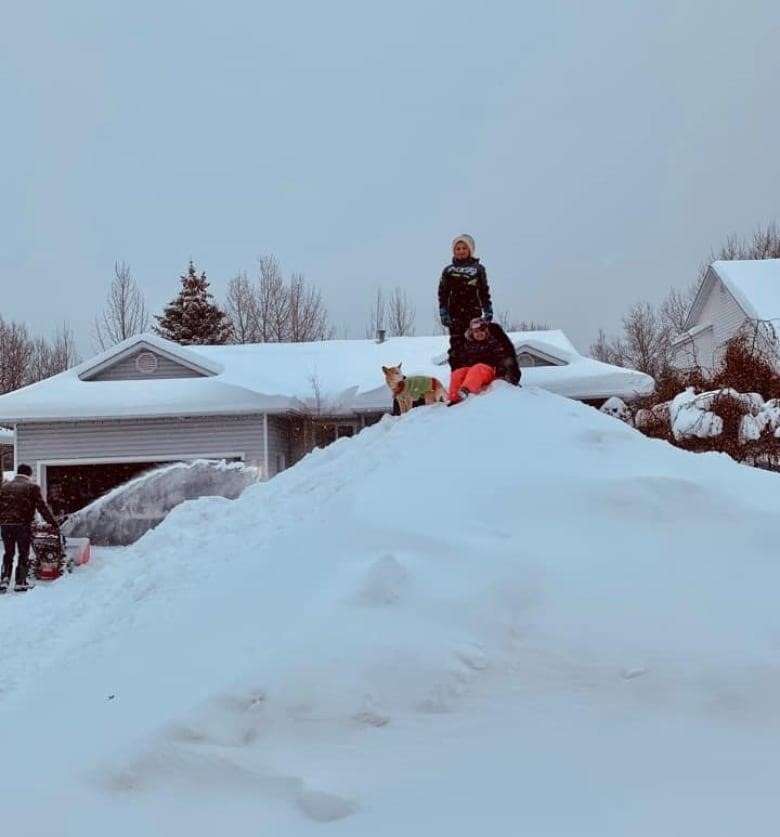 Two children and a dog on a snow pile.