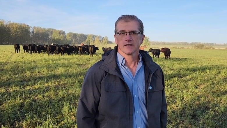 Tim Hoven stands in a field in front of his cattle.