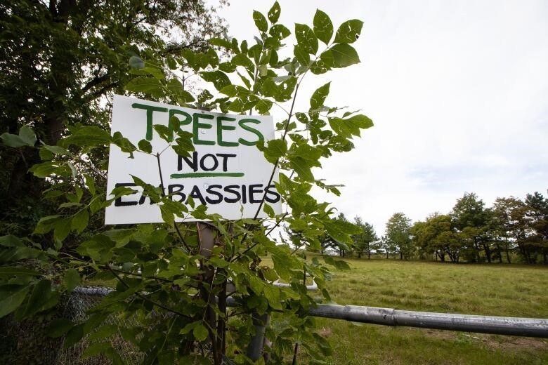 A sign that says "trees not embassies" is posted on a tree above a metal fence.