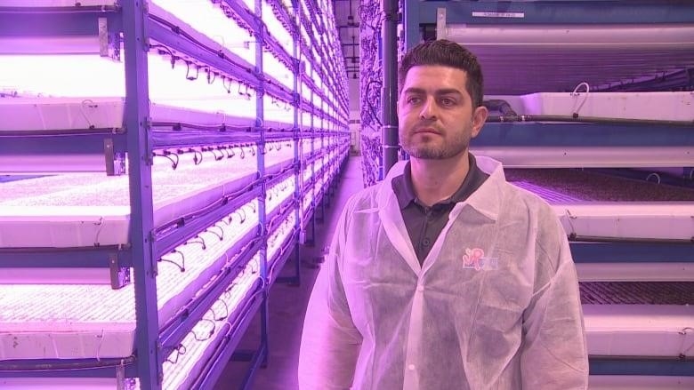 A man stands in front of dozens of shelves that are lit up purple because of LED lights