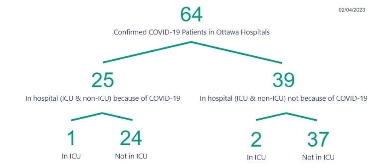 A chart showing the number of people in Ottawa hospitals with COVID.