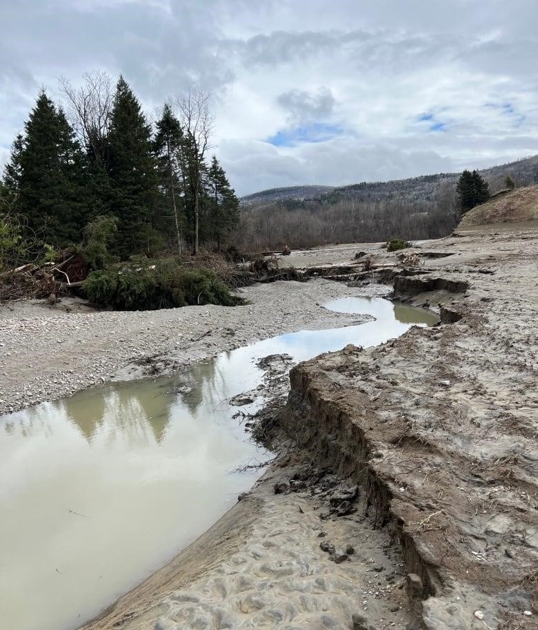 Muddy water in the sand with trees in the background. 