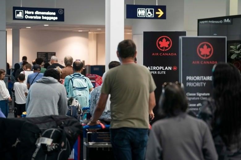 People are seen from behind with luggage carts, waiting in line at the airport