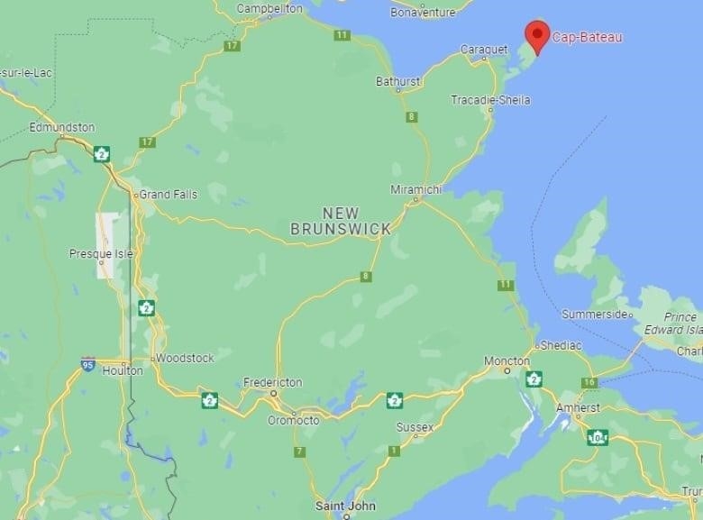 Google map of New Brunswick with a red balloon-shaped marker in the top right corner. 