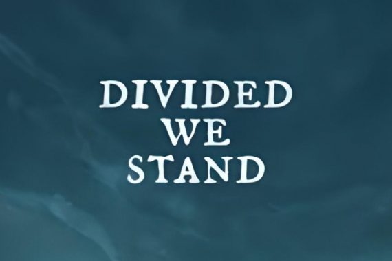Divided we Stand