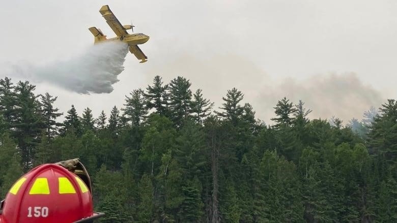 A water bombing plane drops water over a forest next to a lake.