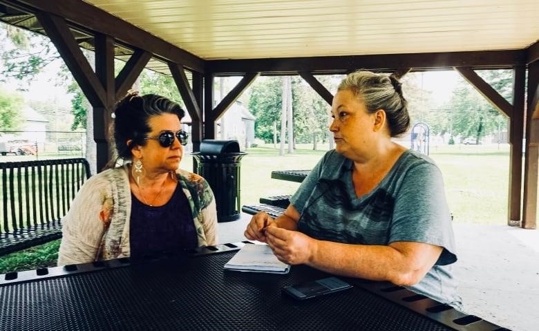 Janet Smit (right) and Micheline Lajoie have organized an online fundraising campaign to purchase, restore and move "Tony" the horse.