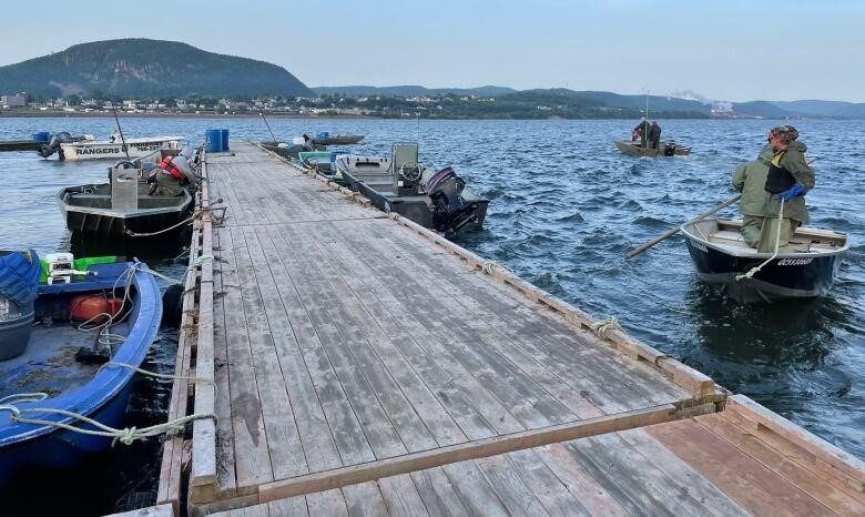 A wharf with small boats tethered to it