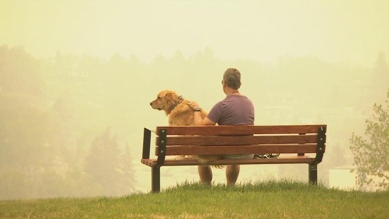 A man and a golden retriever sit on a wooden bench on a hill overlooking Calgary as thick wildfire smoke descends on the city.  