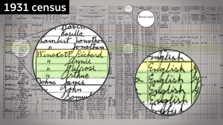 This excerpt of the 1931 census shows Klein's great-grandparents Richard WInacott and Annie Winacott (nee Davis), and Klein's grandfather Melrose, a.k.a. Mike. The racial origin for all three is listed as English. This is one of dozens of records reviewed by CBC News.  