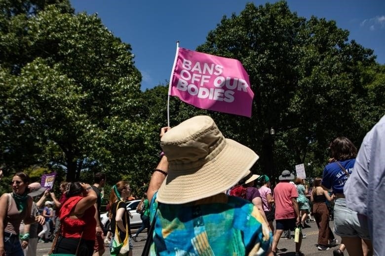 A person in a crowd with their back toward the camera holds a pink flag that says Bans off our Bodies.
