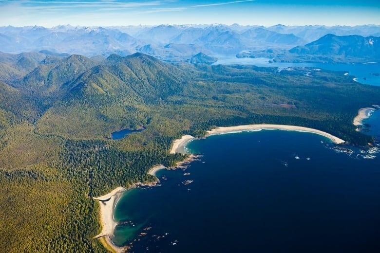 An aerial view over old-growth forests on Flores Island in Ahousaht territory in Clayoquot Sound, B.C.  