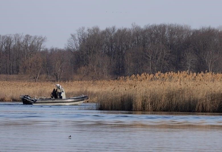 People on two boats search a marshy area.