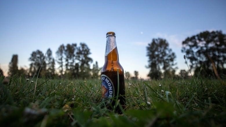 A beer bottle sits in the grass