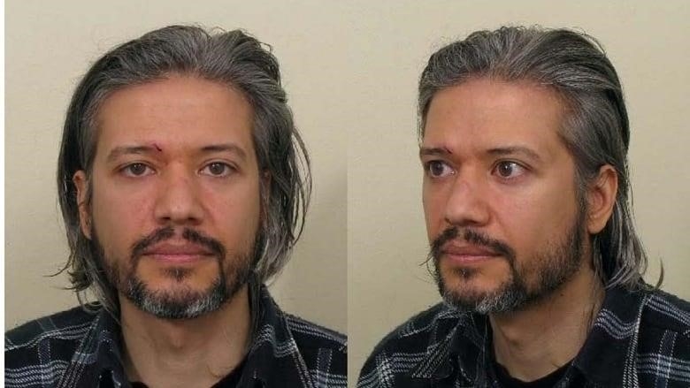 Two mugshots of Aydin Coban. He is wearing a black shirt with white stripes. He has medium-length grey flowing hair amd a black French beard.