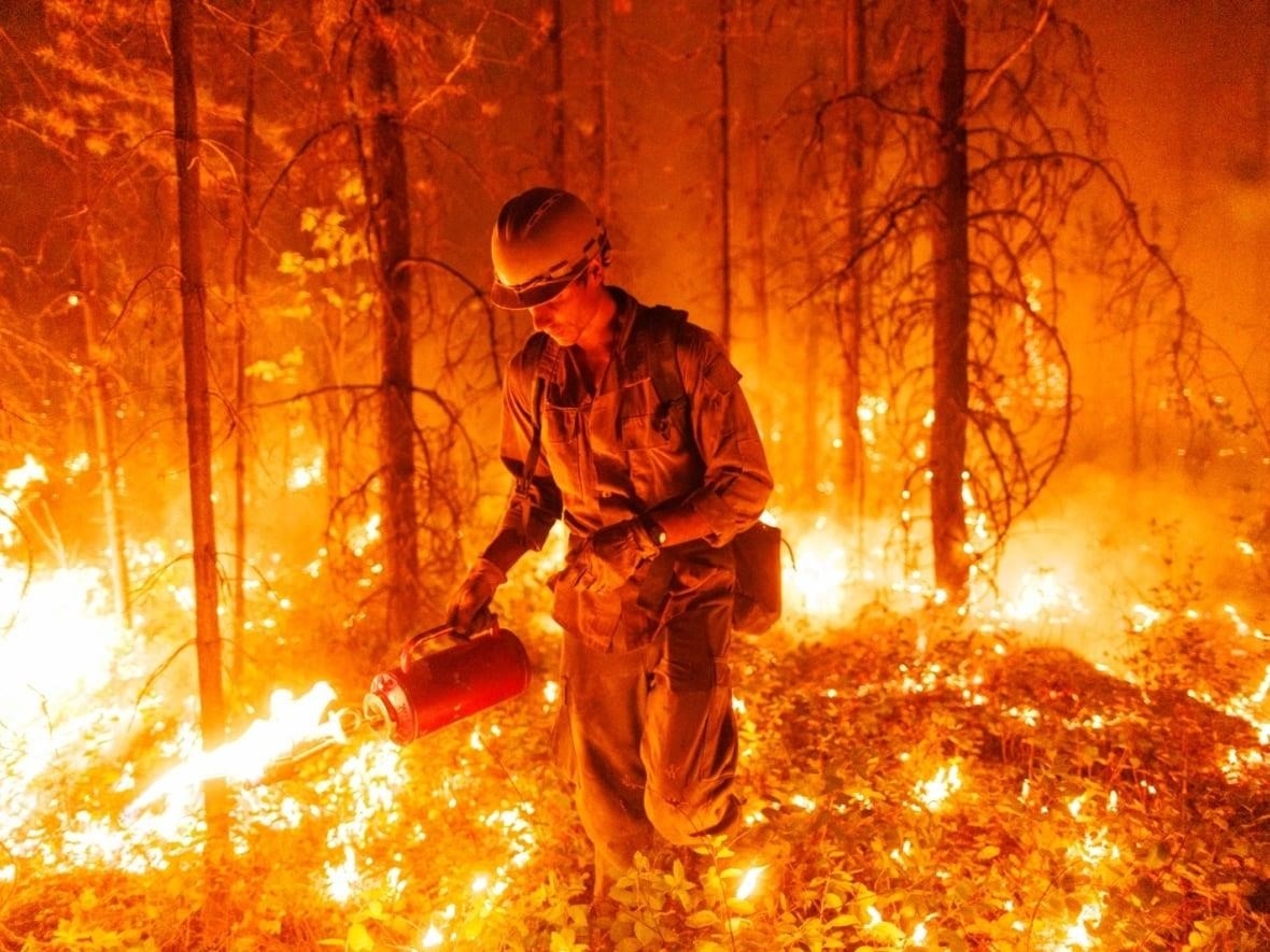 A firefighter from an Alaska smoke jumper unit uses a drip torch to set a planned ignition on a wildfire burning near a highway outside Vanderhoof in northern British Columbia, Canada on July 11, 2023.