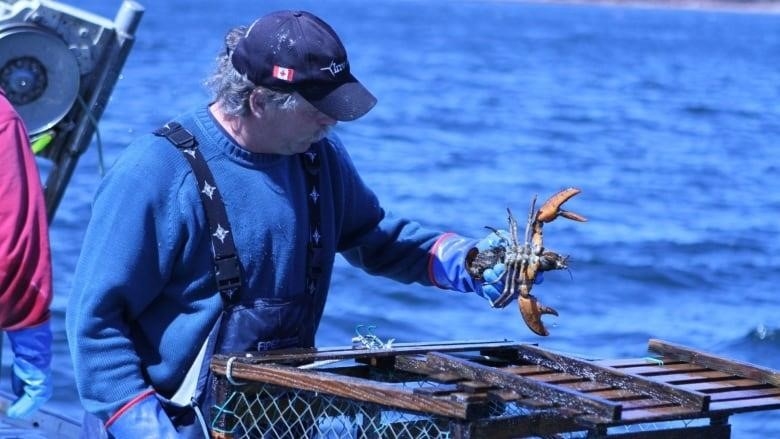 A man holds a lobster while on a boat.