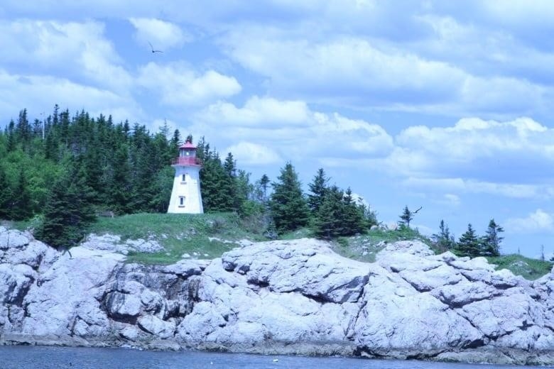 A lighthouse on a rocky shore.
