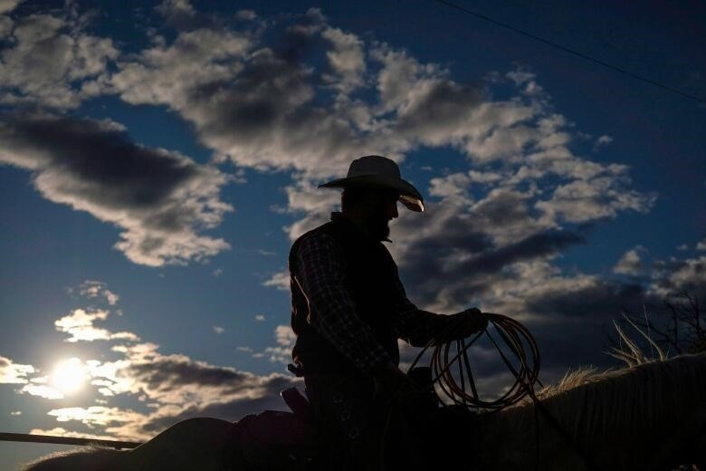 The silhouette of a man on a horse with a cowboy hat and rope is pictured amid blue sky. 