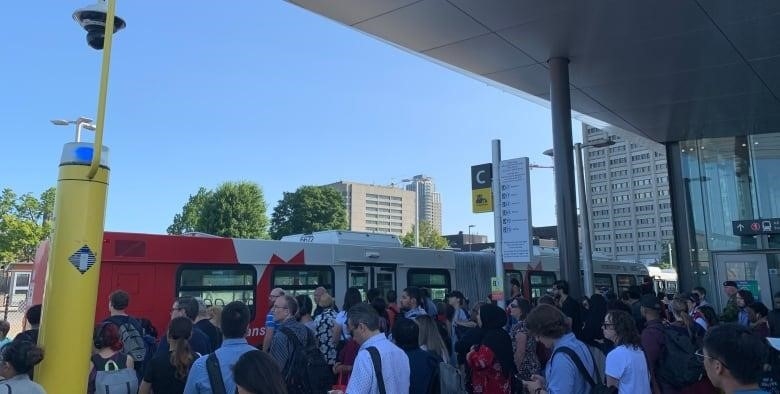A lot of people stand in front of a bus
