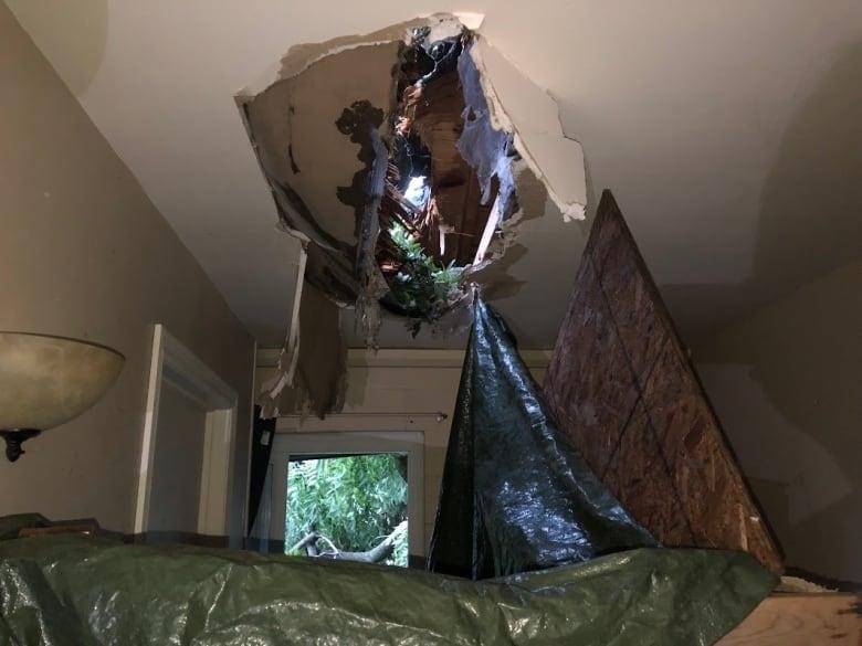 Damage from a tree, branches and limbs is shown inside a Kingsville home after a July 26, 2023 storm.