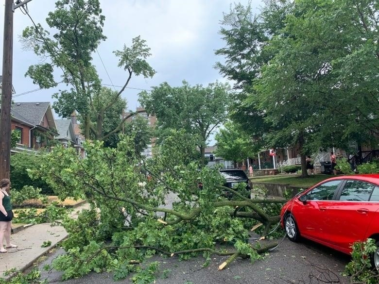 A downed tree and wires are seen on a Toronto street in the aftermath of a storm in July 2022.