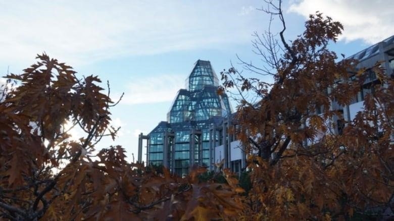A glass building is seen in the background with autum leaves in the foreground. 