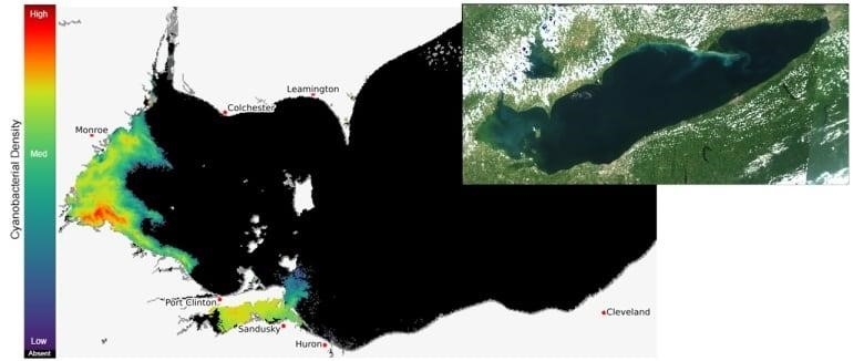 Satellite imagery showing cyanobacterial density levels across Lake Erie.