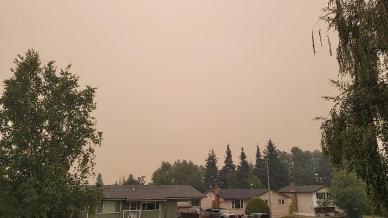 A smoky sky above trees and houses glows a dull orange.