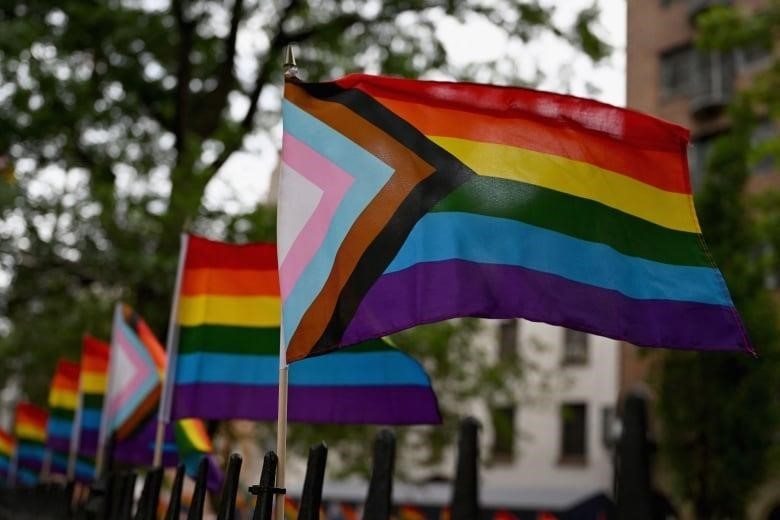 A row of various LGBTQ+ pride flags.
