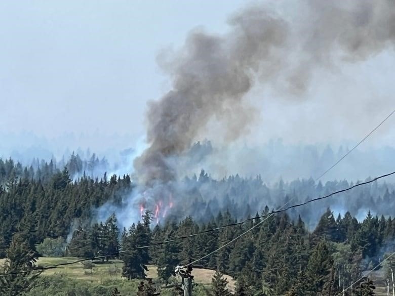 Smoke rises from visible flames in the middle of a forest in a photo shot near hydroelectric wires.