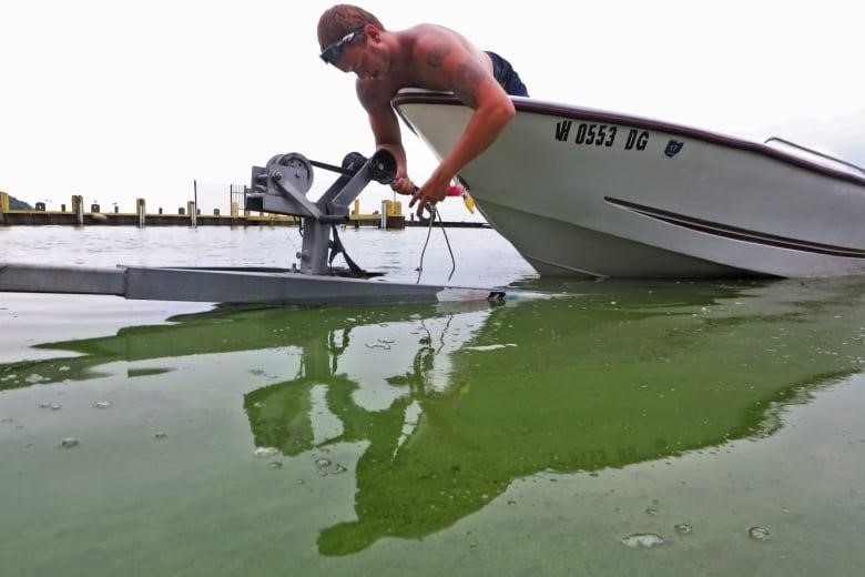 Ryan Atkins helps bring a boat ashore at South Bass Island State Park, Ohio, in Lake Erie, July 29, 2015. A algae bloom turned the water green at the park.