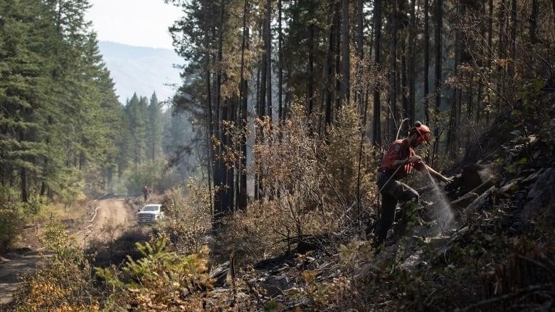 A firefighter sprays water into the ground in a heavily forested area