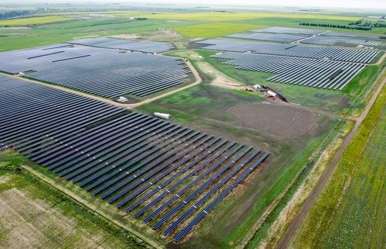 Solar panels are pictured on a field.