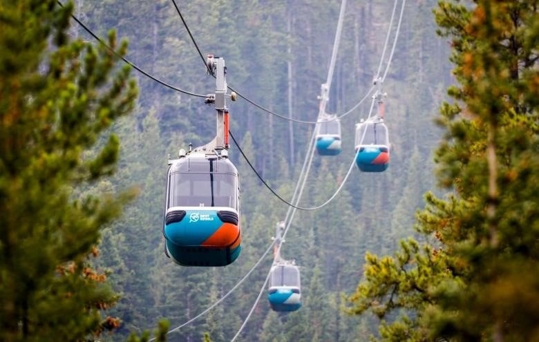 four gondola cabins are seen against a forest in the mountains